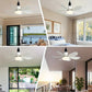 ⏳ Nur noch heute: 49 % Rabatt 🔥 40-W-LED-Deckenventilator mit Licht – 20,5 Zoll, extrem leise, inkl. Fernbedienung 🎯 | E27-Fassung + kostenloser B22-Adapter 🔌 | Ideal für Schlafzimmer 😴, Küche 👩‍🍳 & Garage 🛠️ – Bereit für UK! 🇬🇧