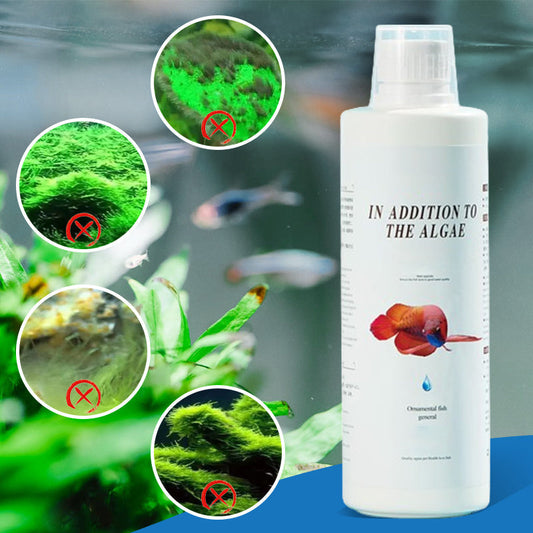 ⏳Begrenzte Zeit 45 % Rabatt⏳Effektive Algenbekämpfung für Aquarien