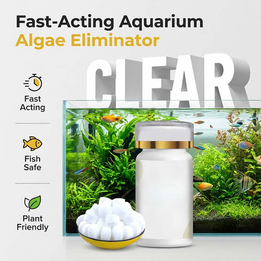 🐟💧 50% RABATT 🔥 Effektives Mittel gegen grünes Wasser & Moos im Aquarium – kristallklares Wasser in kurzer Zeit ✨