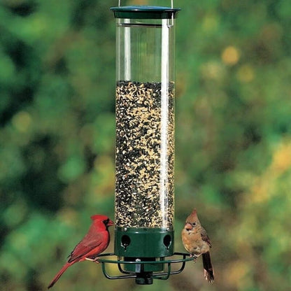 💥Neues eichhörnchensicheres Vogelfutterhaus – Frühjahr 2026💥