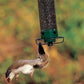 💥Neues eichhörnchensicheres Vogelfutterhaus – Frühjahr 2026💥