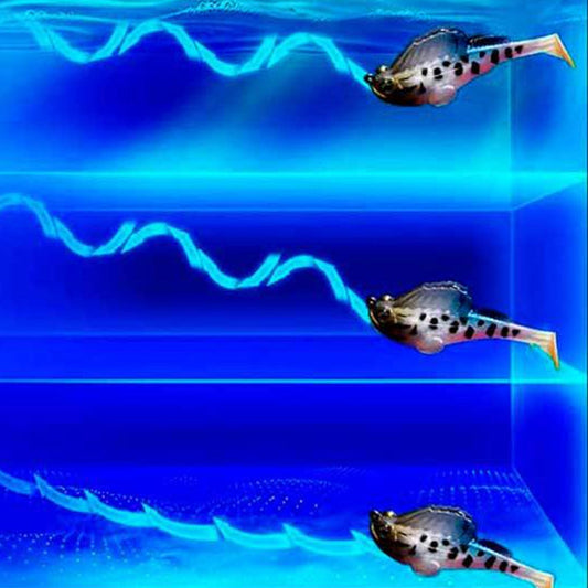 5-teiliges T-Tail-Softbait-Set mit Box